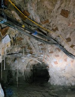 Figure 9 – Amalgamated Vein bypass.