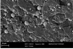 Figure 2 – SEM Image, Silicon Sphere Distributed in Graphite Voids