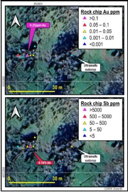 Figure 5: Gold (top) and antimony (bottom) rock chip analyses for the East Hills prospect