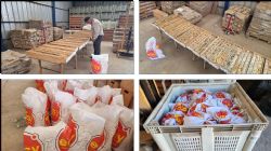 Figure 2: 690kg of sample from the Pantanillo Gold Project ready for Metallurgical testing