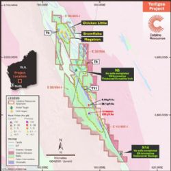 Figure 5. Yerilgee Target Location and Project Geology