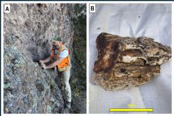 Figure 2: Field samples and exposures from Red Mountain's northern claims area.