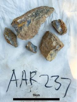 Figure 2: AAR237 which assayed 23.1% Sb