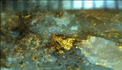ABM Resources ASX:ABU Visible Gold in Sample