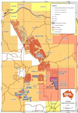 Felicitas and Fortuna Resource drill hole location map