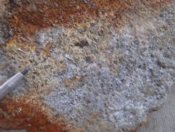 Western Mining Limited (ASX:WMN) silicified –argillic sandstone 