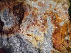 Western  Mining Limited (ASX:WMN)  quartz, pyrite and arsenopyrite.