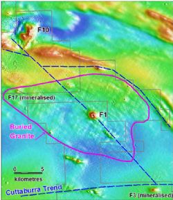 Figure 2: The F1 magnetic anomaly.
