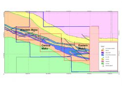 Plan of Mako showing the three areas