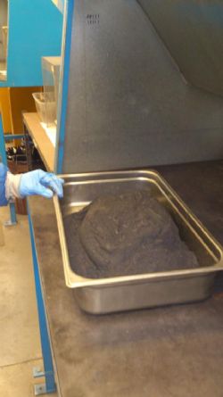 Plate 1. Exceptionally pure bulk flotation concentrates