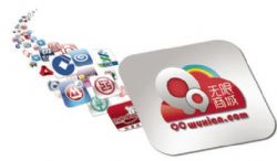 Domestic Chinese m-commerce Partners