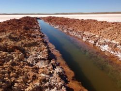 Curtin Boundary Trench 2m deep dug into fractured siltstone prior to pumping