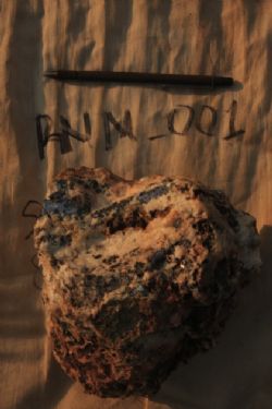 Figure 3. Mahdewa hand samples collected for analysis - 3.04% Pb