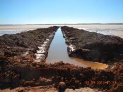 Figure 3. Newly completed trench completed at Curtin Boundary Lake, prior to fencing.