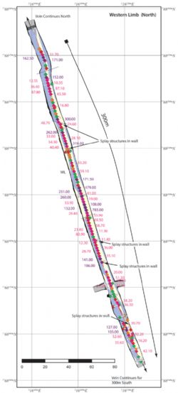 Figure 6. Western Limb test pit geology map with final bench grade control data.