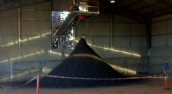 First lead-zinc concentrates from Hera in shed. (Photo taken 28th August)