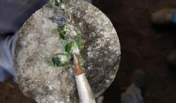 Diamond drill core from the NicandaHill prospect at Balama North project.