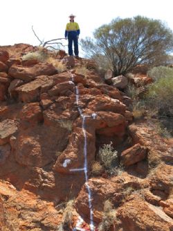 Figure 3: Transect 14JUFS009 marked in white paint over significant relief on the syenite outcrop at Heffernans