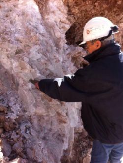 Mineralisation at Tincalyu mine