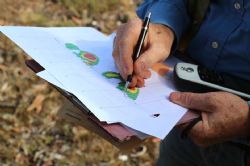 Figure 2 - Close-up of the planned collar and trajectory for Hole #1