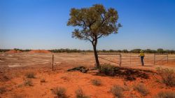 Figure 2: Whiteley-1 well site restored awaiting future operations.