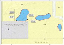 Figure 2: VTEM Target Areas and initial rock chip sample results