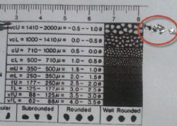 Figure 5: Observed graphite flakes obtained from the Ancuabe rock chips (in excess of 2000μm)