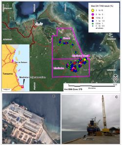 Figure 1: Ziwani and Madimba prospect location map in relation to the Port town of Mtwara, southern Tanzania