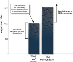 Figure 4. Chart showing market expectations for expandability of processed graphite concentrate
