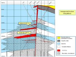 Figure 6: Coppermine Creek. Interpreted section 556,800mE, eastern end of copper mineralised structure