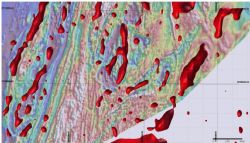 Figure 1: Plan showing bodies