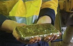 Old Pirate Gold Pour!