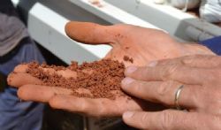 Bauxite Resources Limited (ASX:BAU)