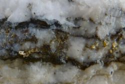 Visible Gold at Namdini