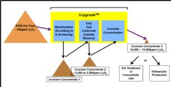 Figure 1: Marenica U-pgrade Flowsheet - Schematic Representation