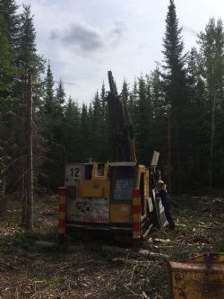 Figure 1: Diamond drilling rig on the first drill pad