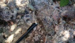 Close-up of mega Tantalite crystals at the Pye prospect.