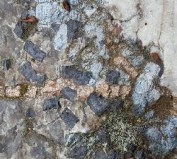 Close-up of mega Tantalite crystals at the North Aubry prospect