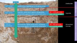 Figure 8: Image of the Tumas Trench showing channel sampling results.