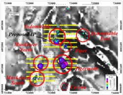 Figure 4. Lady Hamilton Prospect, Proposed 3DIP Lines over 1VD Magnetic Image