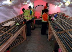 Figure 4: Exploration staff logging core at Panorama North