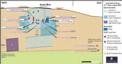 Figure 3. Susan long section showing all drilling with gold intersections