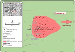 Overview showing the pegmatite exposures at North Aubry prospects