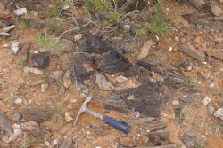 High grade tin outcrop at Black Rock prospect