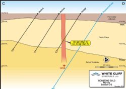 Cross section showing interpreted mineralised zones on Section C-D