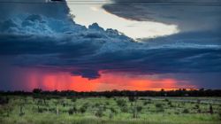 December and January have been very wet, turning the “Red Centre” verdant green.