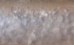 Figure 2.3: gravel material in core