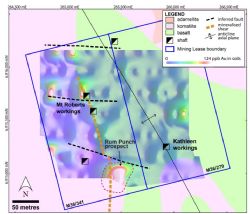 Geology of the Mt Roberts-Cottee Project area