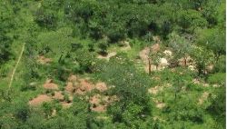 Artisanal pits observed during February 2017 heliborne survey.