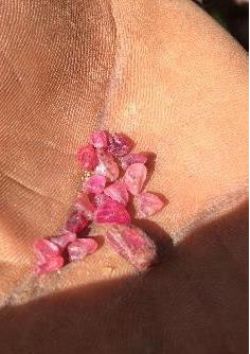 High quality rubies from secondary ruby deposit being mined by artisanals on license 8245L